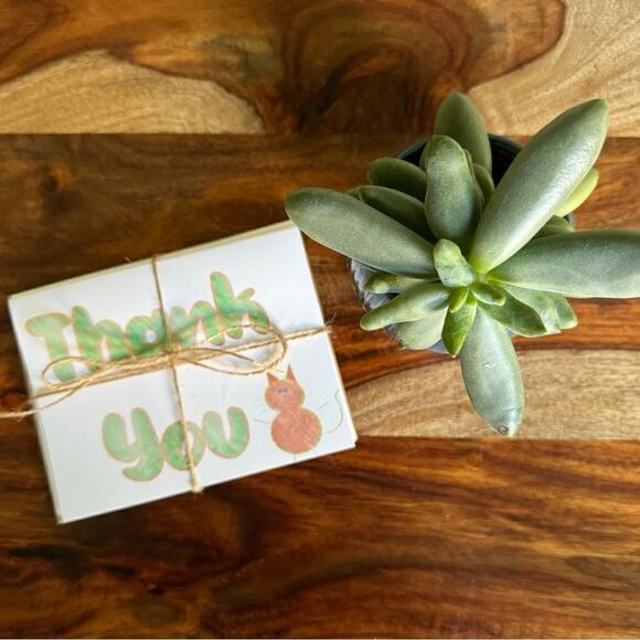 Thank You Cards Greeting Cards Blank Notes Gift for Cat Lover Friendship Cards - Picture 2 of 4